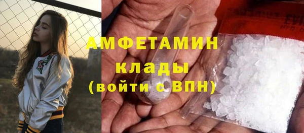 СК Алексин