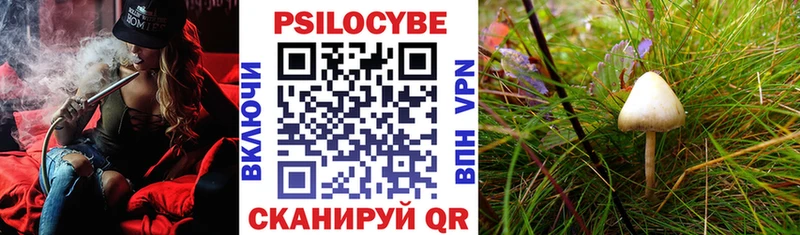 Галлюциногенные грибы прущие грибы  даркнет сайт  Карабаш 